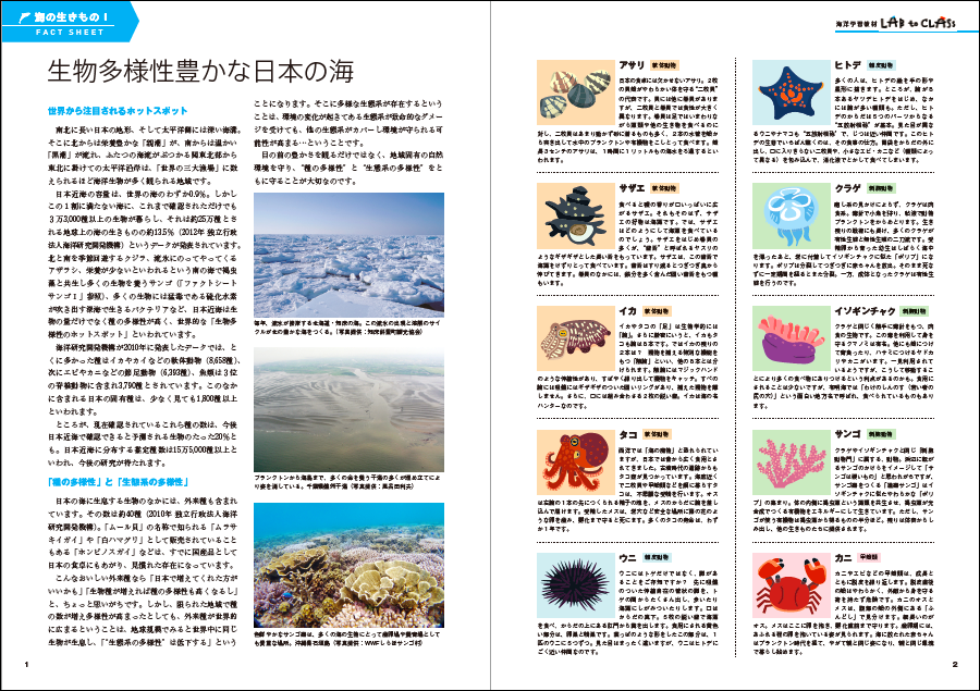 ＜海の生きものⅠ　生物多様性豊かな日本の海＞